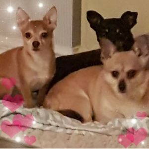 Meet your Posher, Earlene